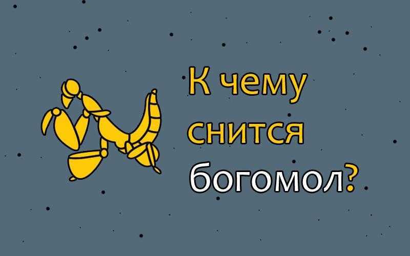 К чему снятся насекомые во сне: женщине, мужчине, у себя дома, на улице, в большом количестве    :: клео.ру