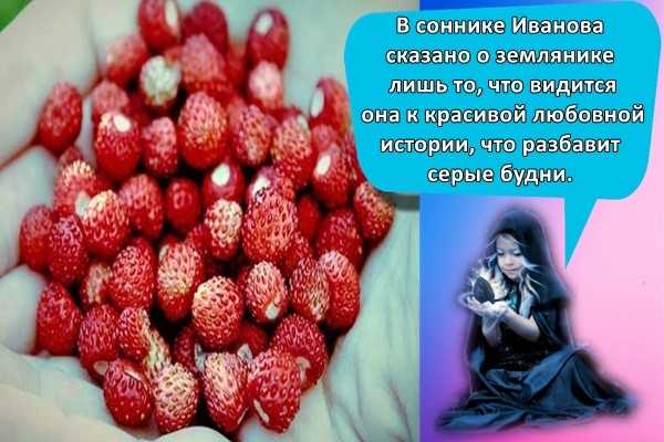 К чему снится собирать ягоды: в лесу, красные, мелкие, клубнику, малину